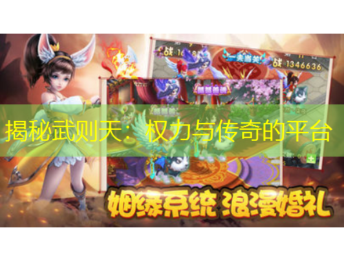 揭秘武則天：權力與傳奇的平臺