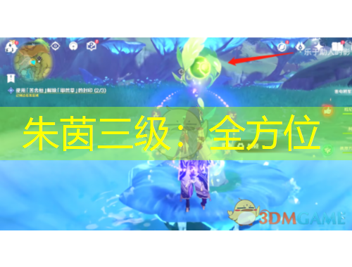 朱茵三級：全方位