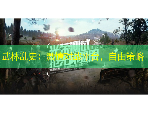 武林亂史：激情對戰(zhàn)平臺，自由策略