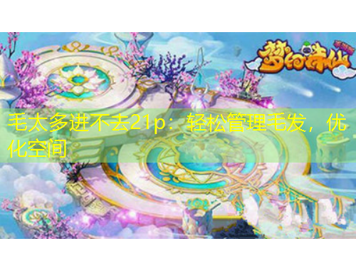 毛太多進(jìn)不去21p：輕松管理毛發(fā)，優(yōu)化空間