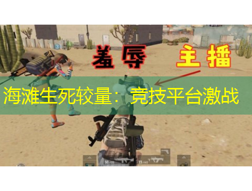 海灘生死較量：競(jìng)技平臺(tái)激戰(zhàn)