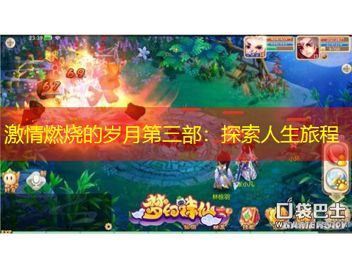 激情燃燒的歲月第三部：探索人生旅程