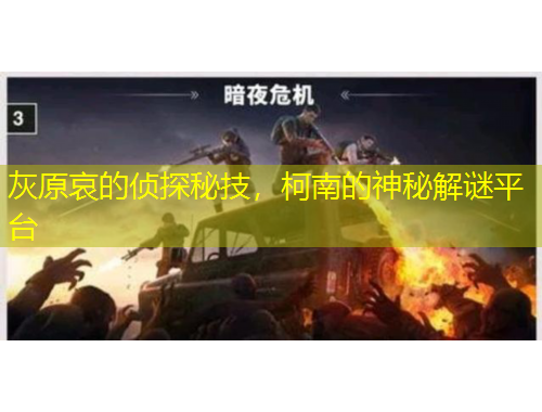 灰原哀的偵探秘技，柯南的神秘解謎平臺