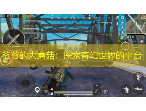 爺爺?shù)拇竽⒐剑禾剿髌婊檬澜绲钠脚_