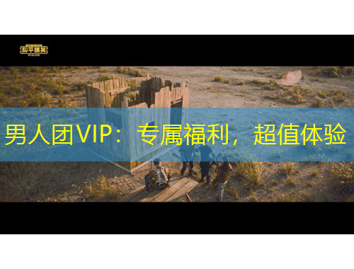 男人團VIP：專屬福利，超值體驗