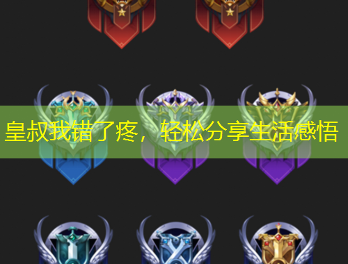 皇叔我錯(cuò)了疼，輕松分享生活感悟