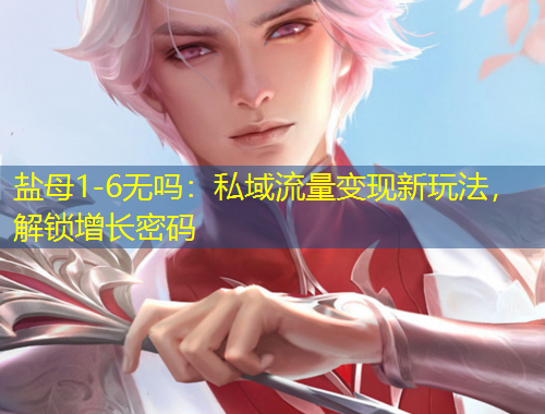 鹽母1-6無嗎：私域流量變現(xiàn)新玩法，解鎖增長密碼