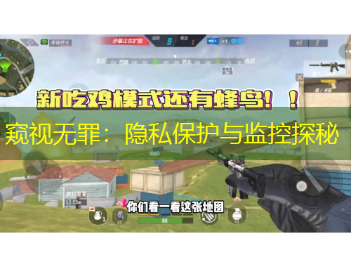 窺視無(wú)罪：隱私保護(hù)與監(jiān)控探秘