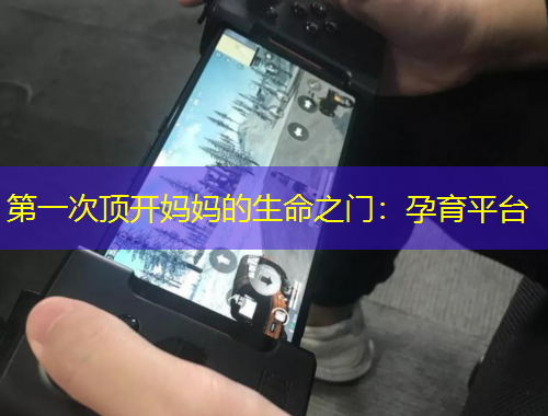第一次頂開媽媽的生命之門：孕育平臺(tái)