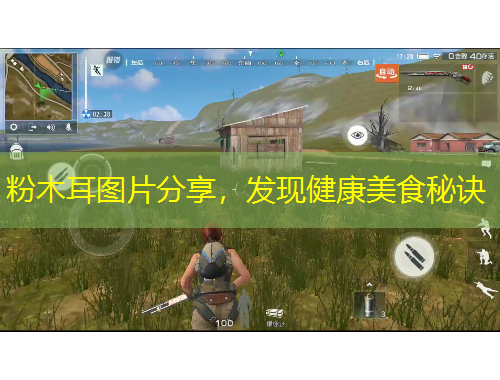 粉木耳圖片分享，發(fā)現(xiàn)健康美食秘訣