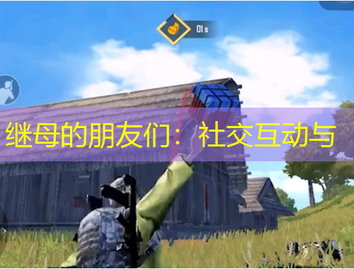 繼母的朋友們：社交互動與