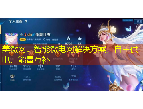 美微網(wǎng)：智能微電網(wǎng)解決方案，自主供電、能量互補(bǔ)