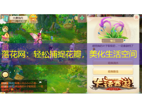 落花網(wǎng)：輕松捕捉花瓣，美化生活空間