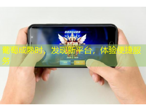 葡萄成熟時，發(fā)現(xiàn)新平臺，體驗便捷服務(wù)