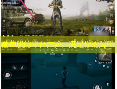 葡萄般的平臺體驗，滿足你的渴望