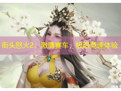 街頭怒火2：激情賽車，極限競速體驗(yàn)