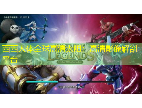 西西人體全球高清太膽：高清影像解剖平臺(tái)