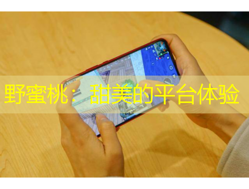 野蜜桃：甜美的平臺體驗