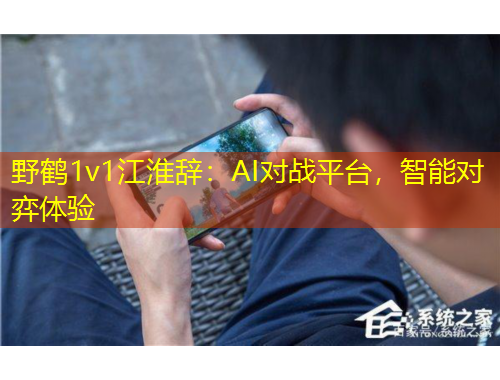 野鶴1v1江淮辭：AI對(duì)戰(zhàn)平臺(tái)，智能對(duì)弈體驗(yàn)