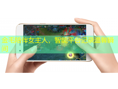 金毛陪伴女主人，智能平臺記錄溫馨瞬間