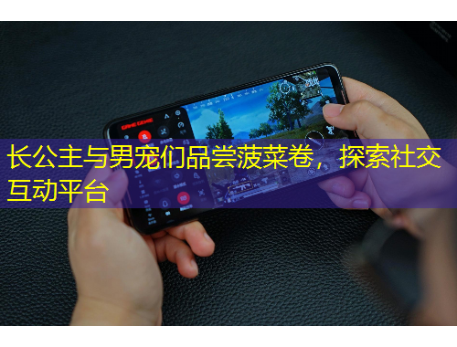 長(zhǎng)公主與男寵們品嘗菠菜卷，探索社交互動(dòng)平臺(tái)