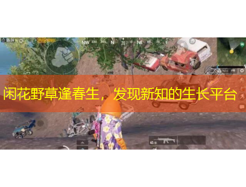 閑花野草逢春生，發(fā)現(xiàn)新知的生長(zhǎng)平臺(tái)