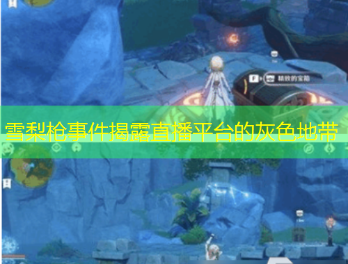 雪梨槍事件揭露直播平臺(tái)的灰色地帶