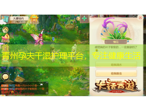 青州孕夫干濕護理平臺，專注健康生活