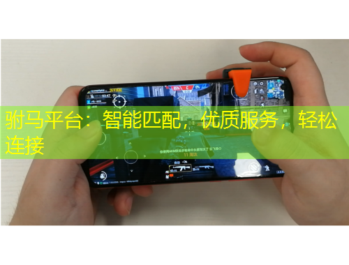 駙馬平臺(tái)：智能匹配，優(yōu)質(zhì)服務(wù)，輕松連接