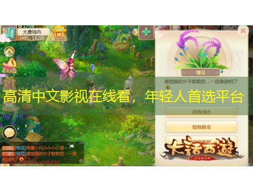 高清中文影視在線看，年輕人首選平臺