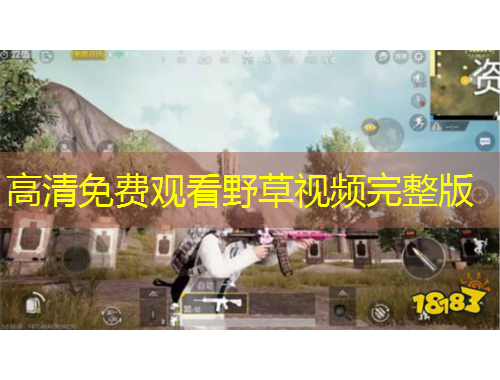 高清免費(fèi)觀看野草視頻完整版