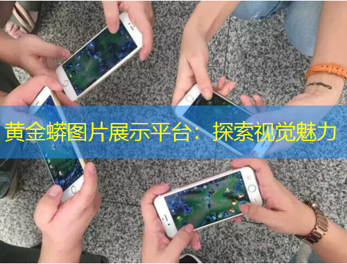 黃金蟒圖片展示平臺(tái)：探索視覺(jué)魅力