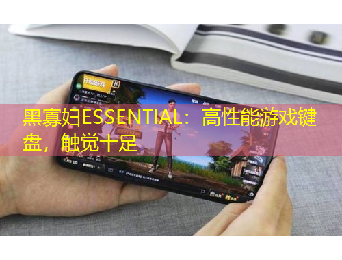 黑寡婦ESSENTIAL：高性能游戲鍵盤，觸覺十足
