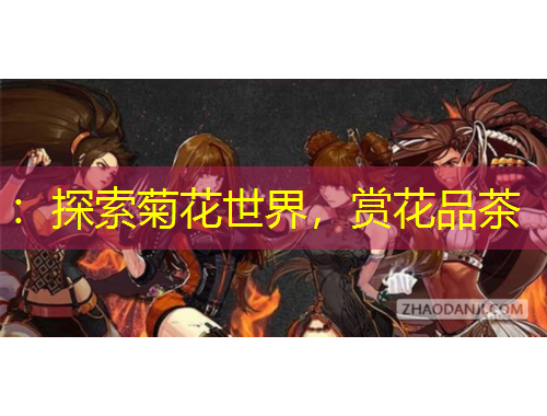 ：探索菊花世界，賞花品茶